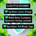 Load image into Gallery viewer, Eucalyptus Spearmint Perfume Body Mist 4 oz Full Size
